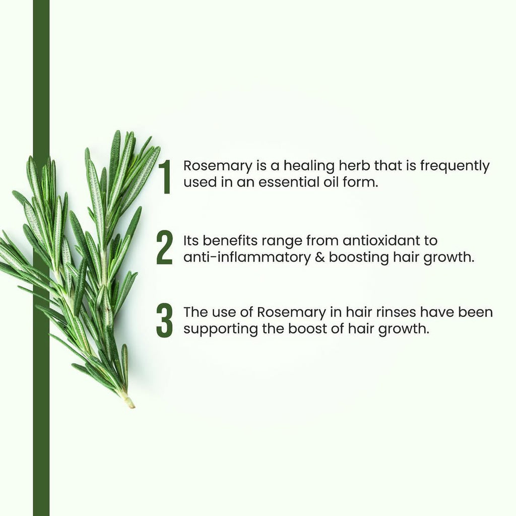 Alps Goodness Rosemary Water, Hair Spray For Regrowth (Pack of 3) hcv8az-ef