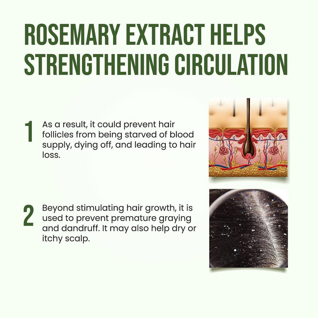 Alps Goodness Rosemary Water, Hair Spray For Regrowth (Pack of 3) hcv8az-ef