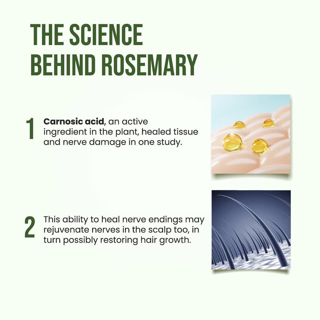 Alps Goodness Rosemary Water, Hair Spray For Regrowth (Pack of 3) hcv8az-ef